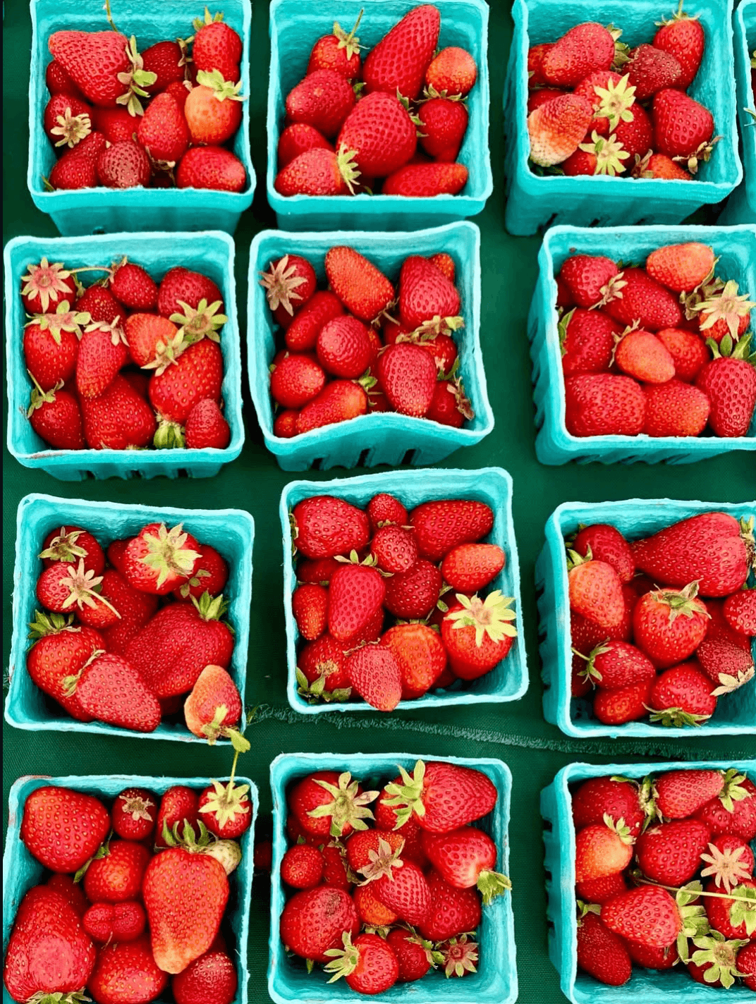 Bainbridge Island Strawberry Festival